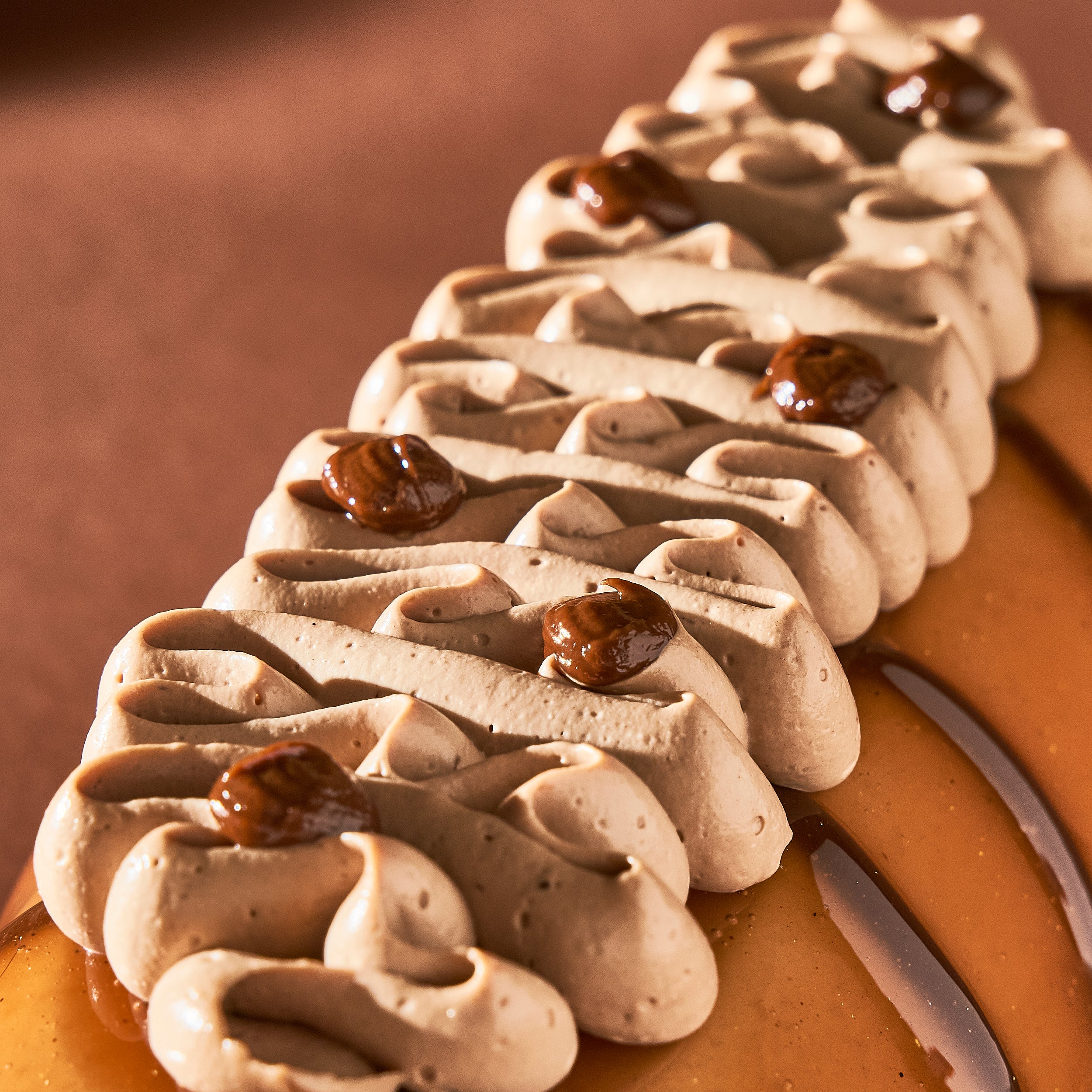 Bûche chocolat praliné